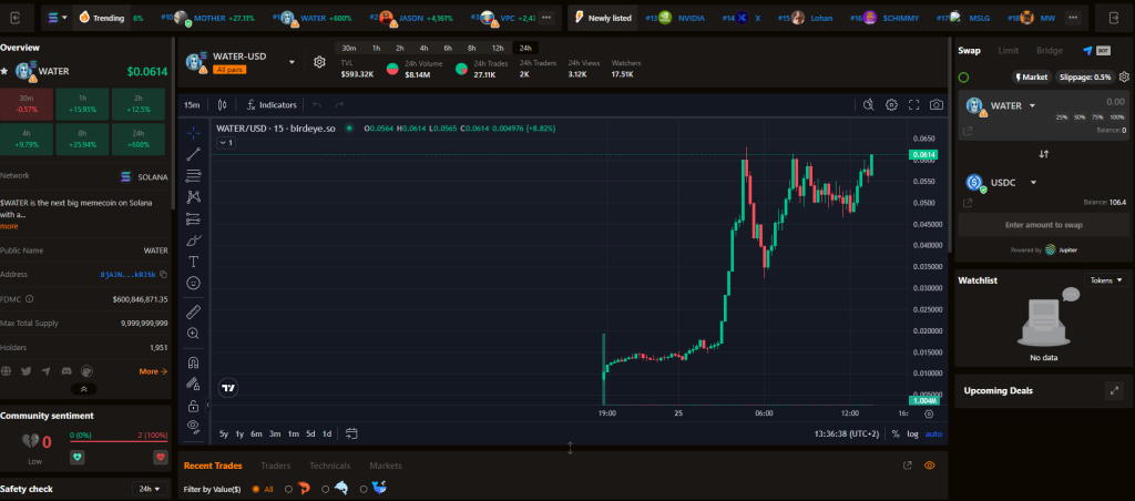 Interface trading Birdeye