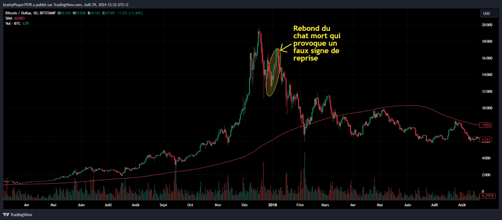 Rebond du chat mort sur le bitcoin