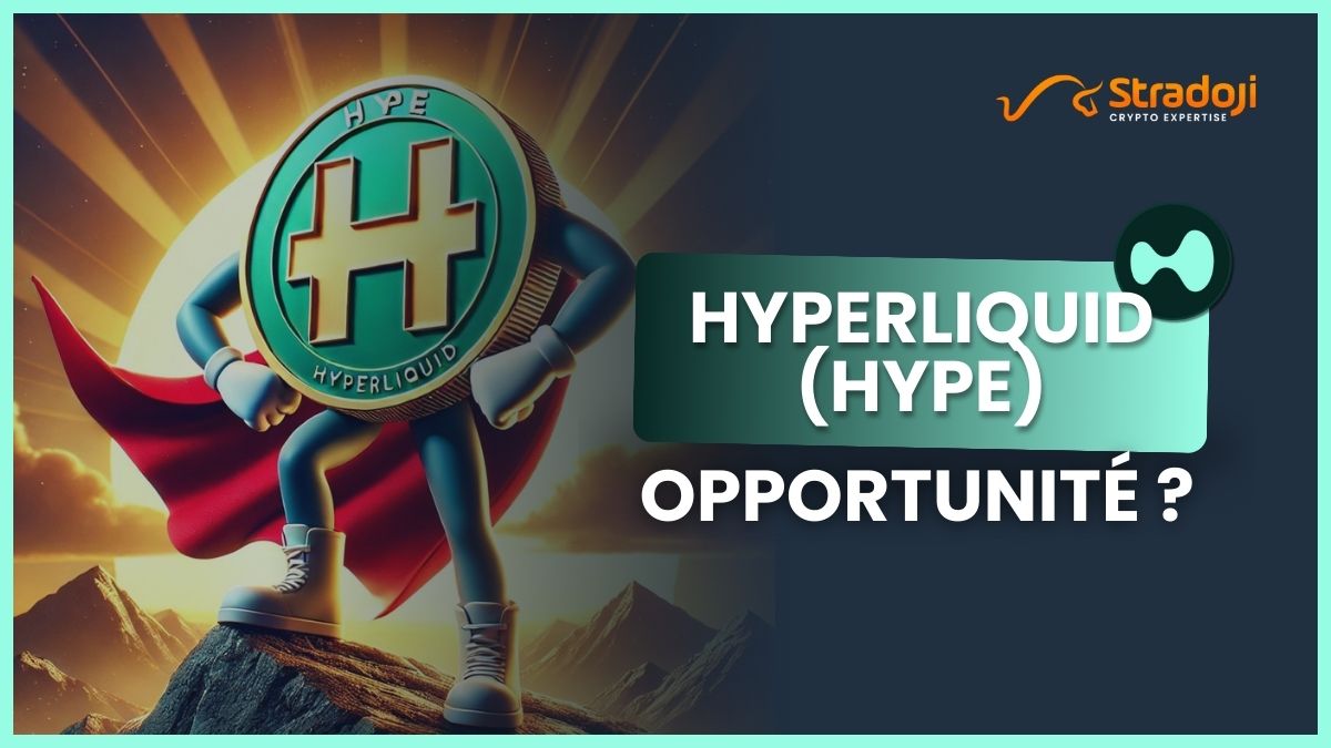 HyperLiquid HYPE crypto