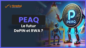 Peaq Network , RWA et DePIN crypto