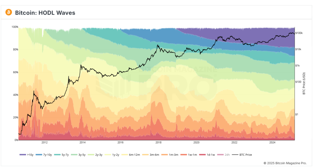 BM Pro - HODL <a class=